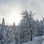 公寓 Ospitalita Diffusa Laste Dolomites - Cesa Murer