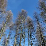 公寓 Ospitalita Diffusa Laste Dolomites - Cesa Murer