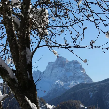 Apartamento Ospitalità Diffusa Laste Dolomites - Cèsa Murer *